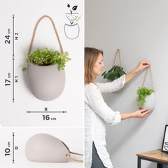Kazai Ellie hanging with succulents installed on wall showing decorative vertical greenery benefit