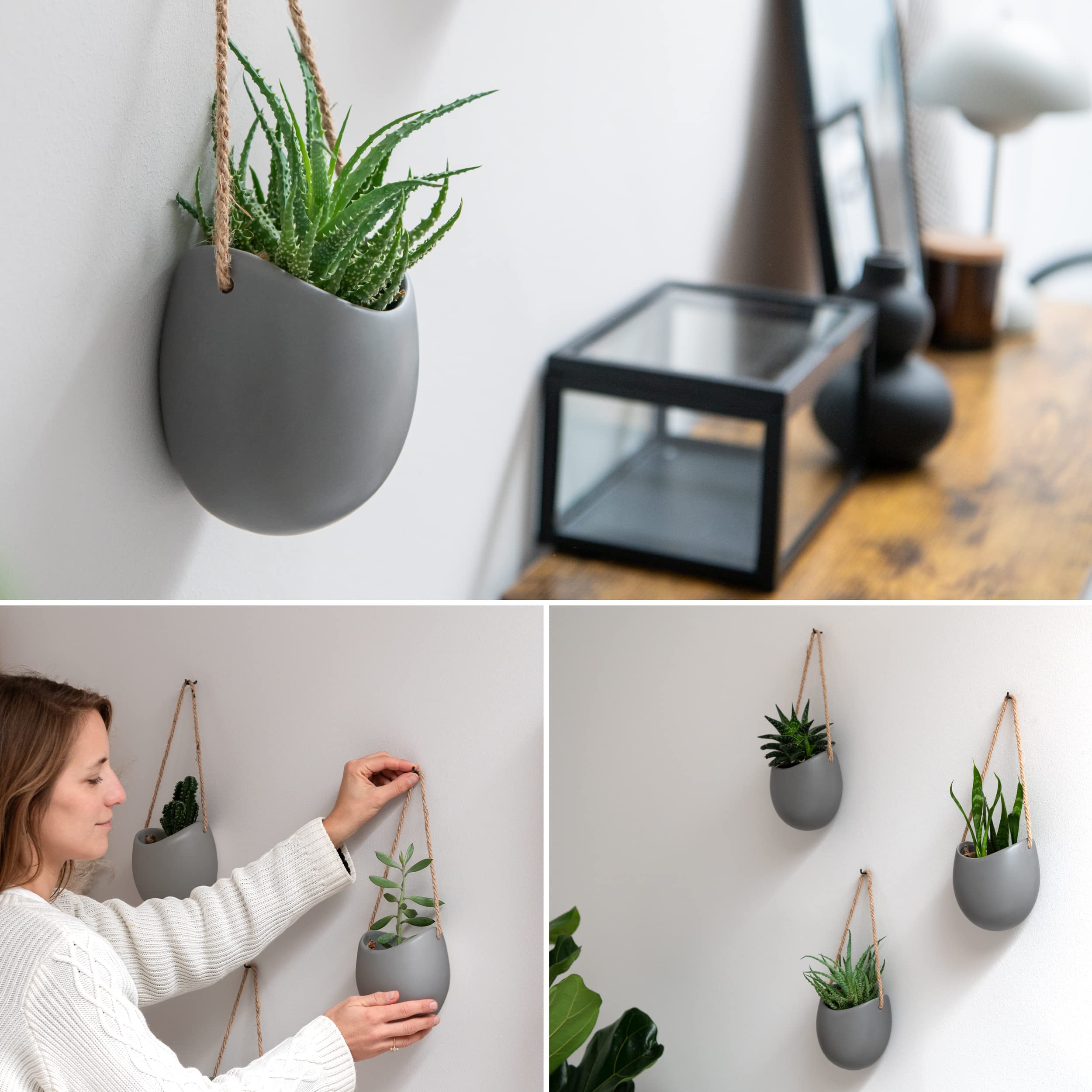 Kazai Ellie mounted trio lifestyle display creating vertical greenery and visual interest