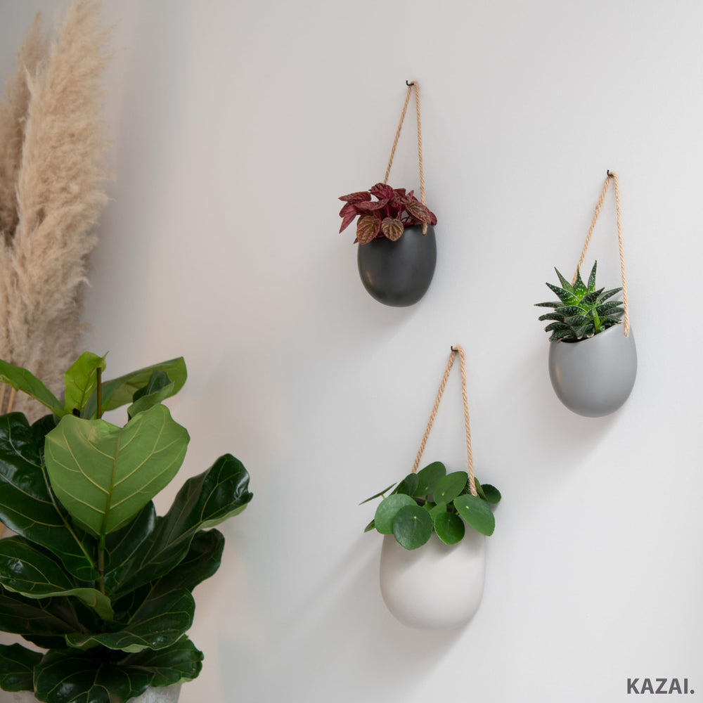 Kazai Ellie packaging with included hooks screws anchors showing easy-install benefit