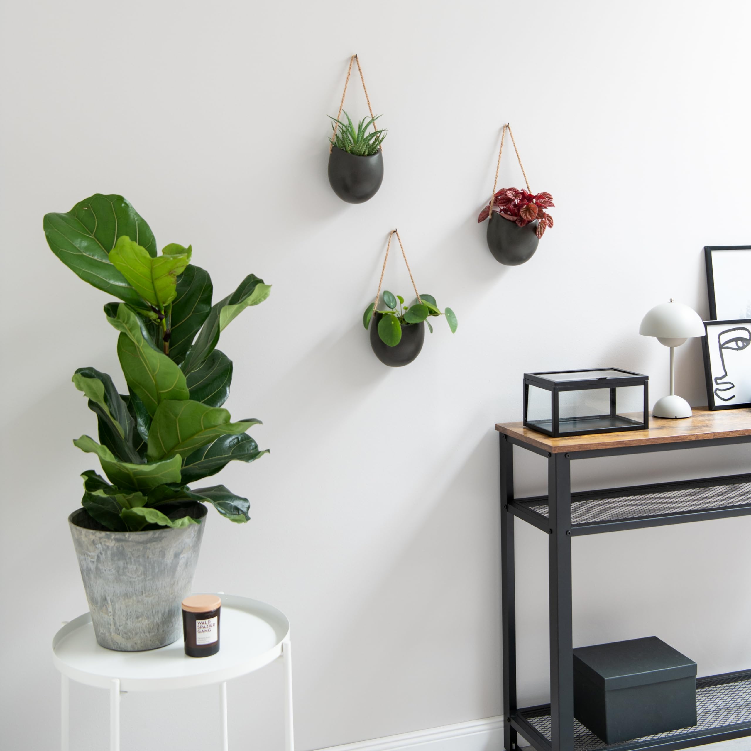 Kazai Ellie installed with succulents in living room showing decorative impact benefit