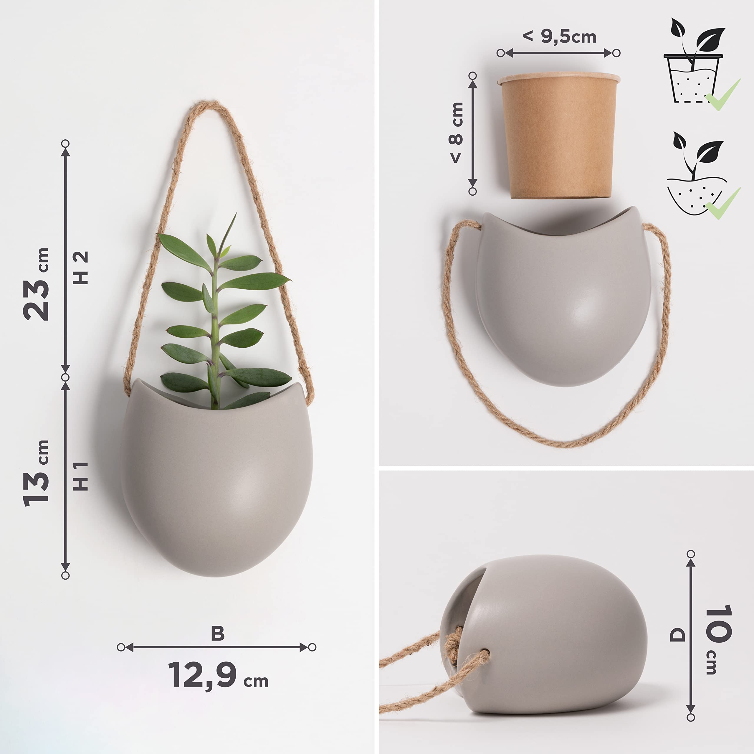 Kazai Ellie with succulents illustrating ideal plant types and low maintenance