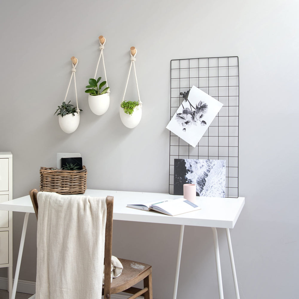 Kazai styled on hallway wall with greenery demonstrating minimalist décor uplift