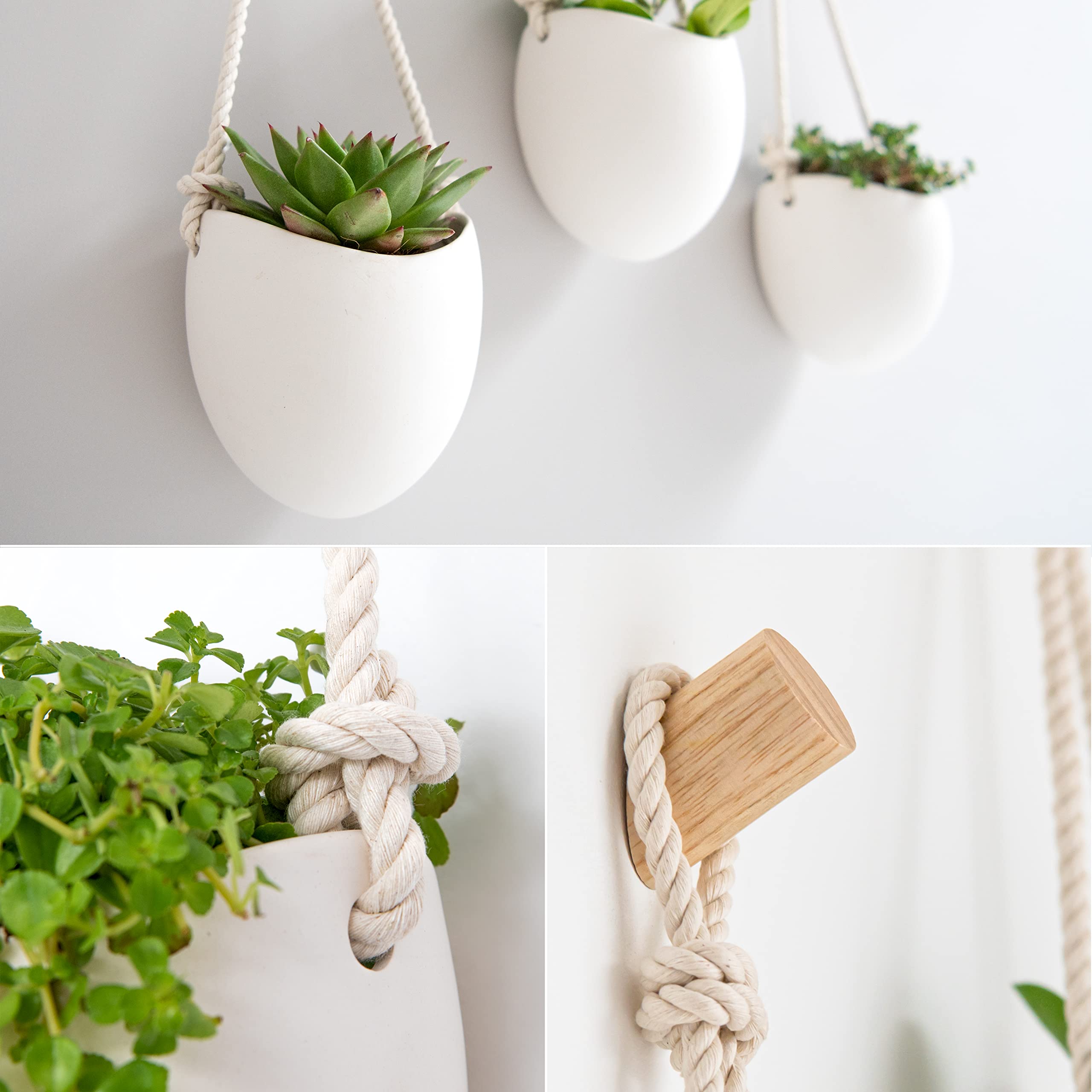Kazai mounted vases in use with succulents demonstrating space-saving vertical plant display