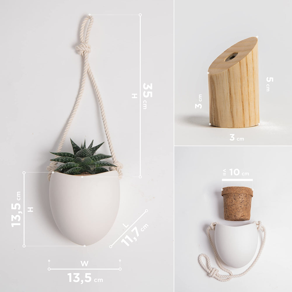 Kazai vases beside a ruler for scale showing compact size ideal for narrow walls