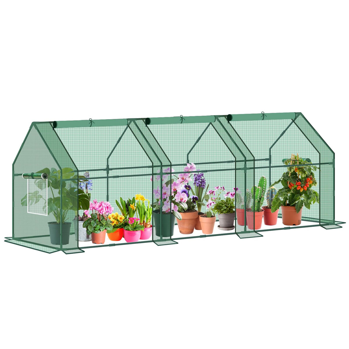 KBOROVER front view showing greenhouse protecting seedlings outdoors