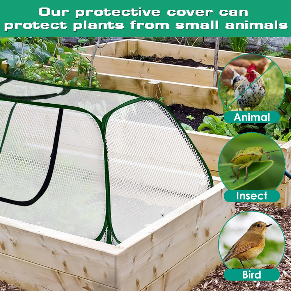 KBOROVER mini greenhouse in garden safeguarding seedlings and crops