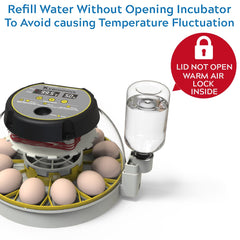 KEBONNIXS built-in egg candler revealing embryo progress and convenience