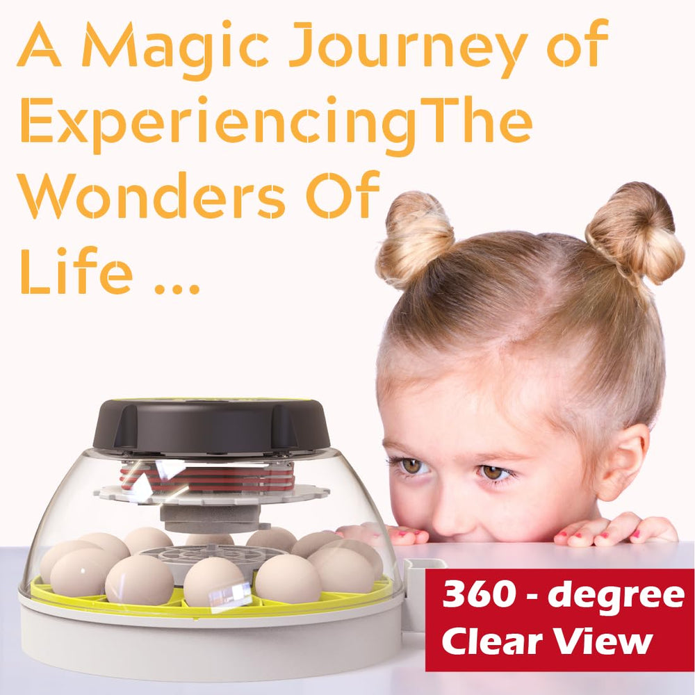 KEBONNIXS incubator beside eggs for size comparison and space-saving benefit