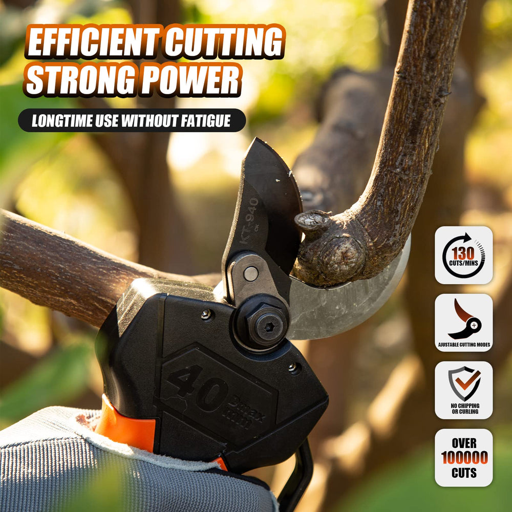 Kebtek trimmed branch cut surface detail showing flat healthy-looking cut benefit