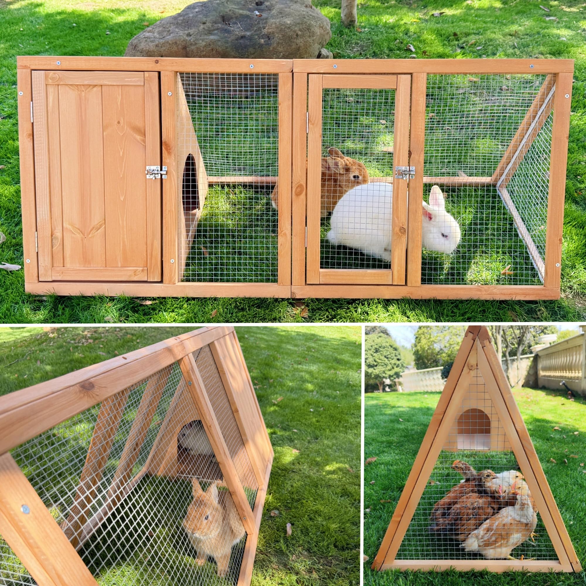 Kecreque multi-animal setup with quail and chickens showing versatile housing