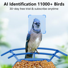 KEEPYOO close-up of 2.5K camera lens delivering high-definition bird footage