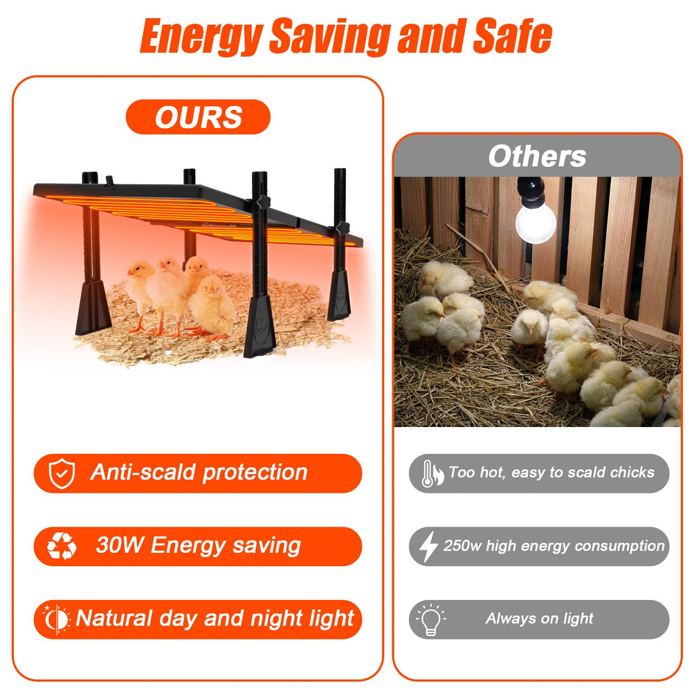 Keltne radiant plate warming chicks in pen for calm, natural brood comfort