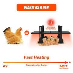 Keltne adjustable legs display offering varied heights for growing chicks