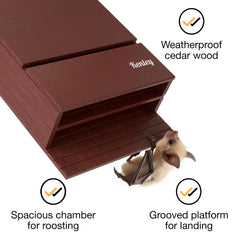 Kenley interior close-up showing textured platform for secure bat perching benefit