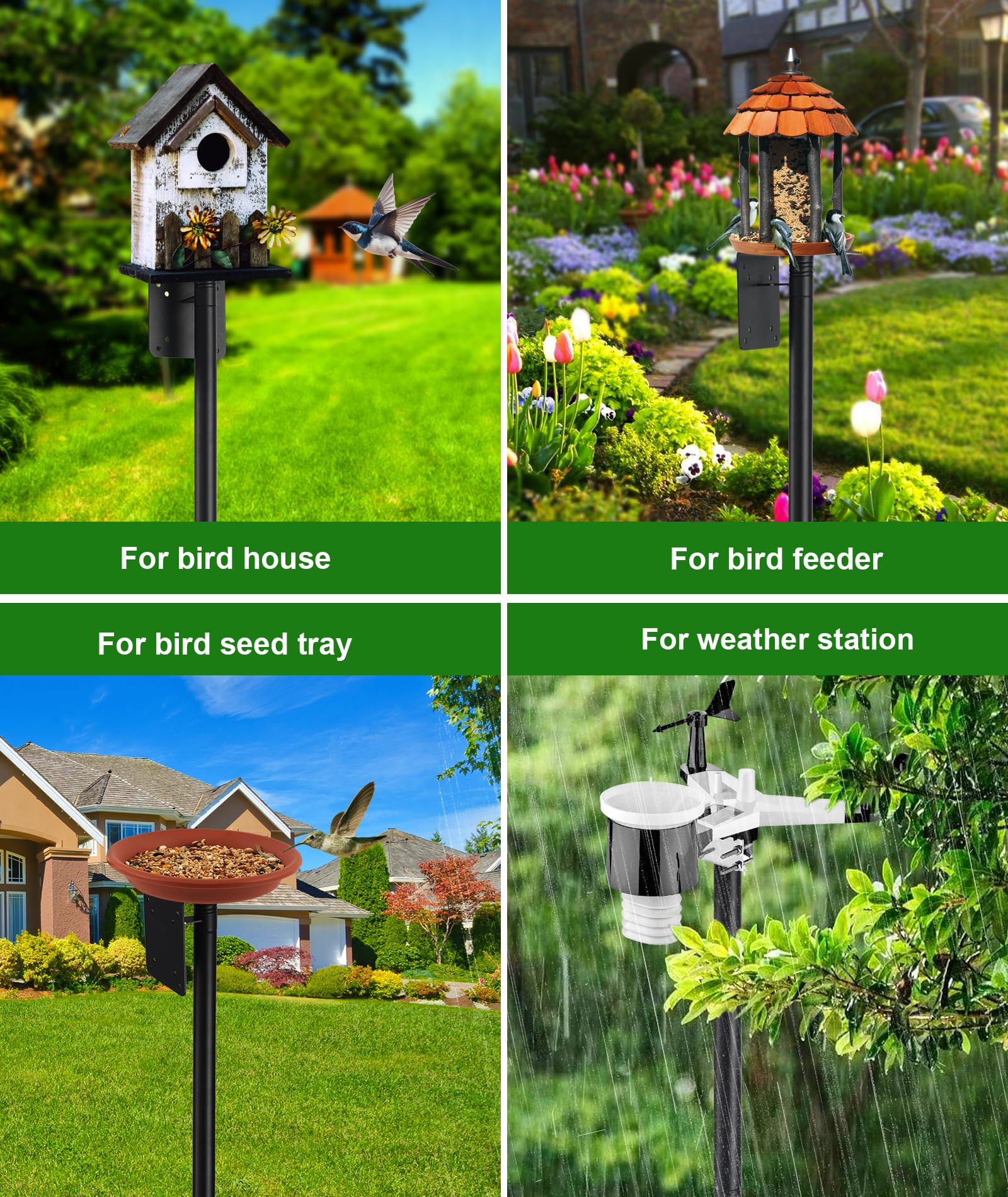 Keplrend camera feeder mounted example capturing steady, wobble-free bird footage