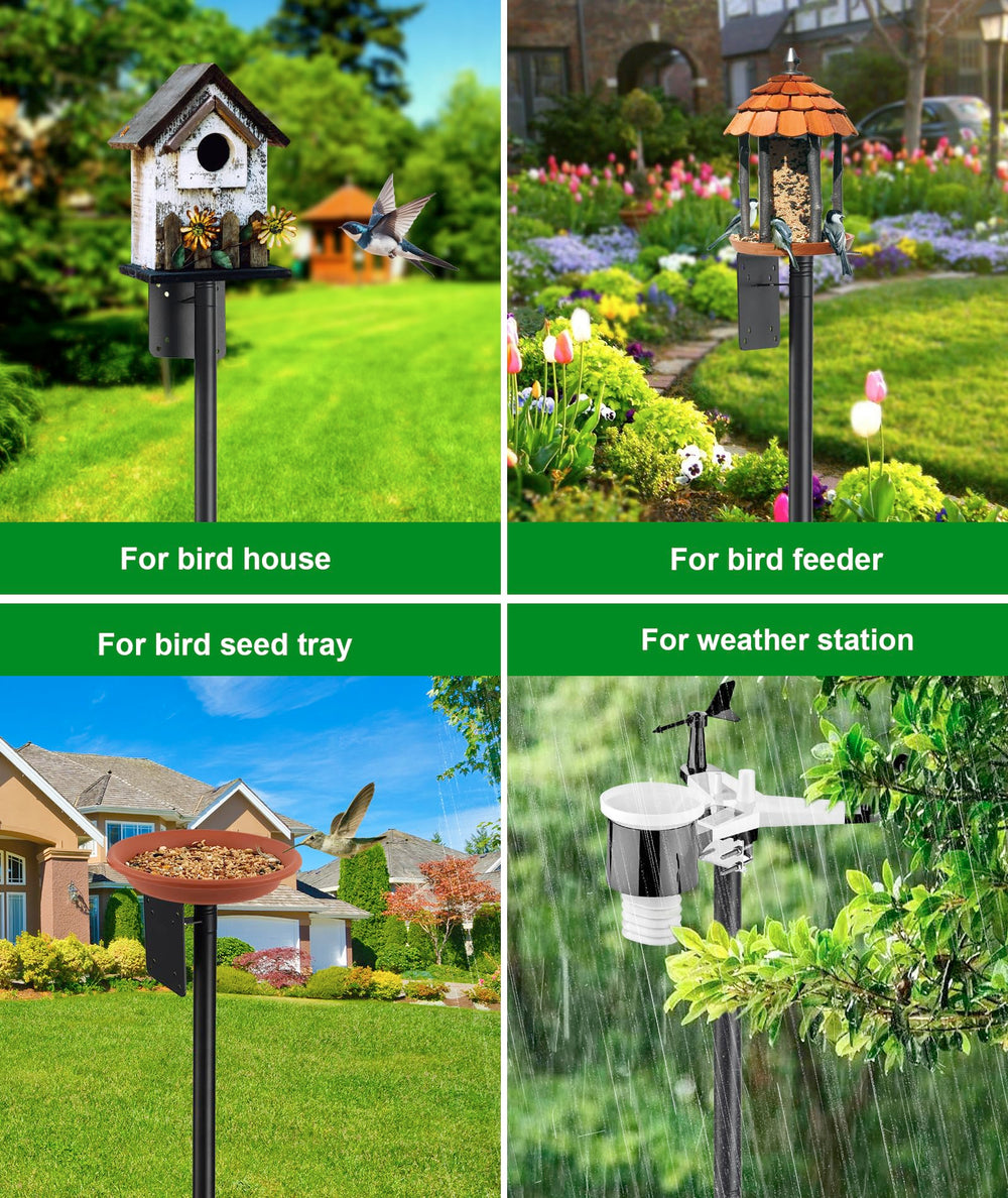 Keplrend camera feeder mounted example capturing steady, wobble-free bird footage