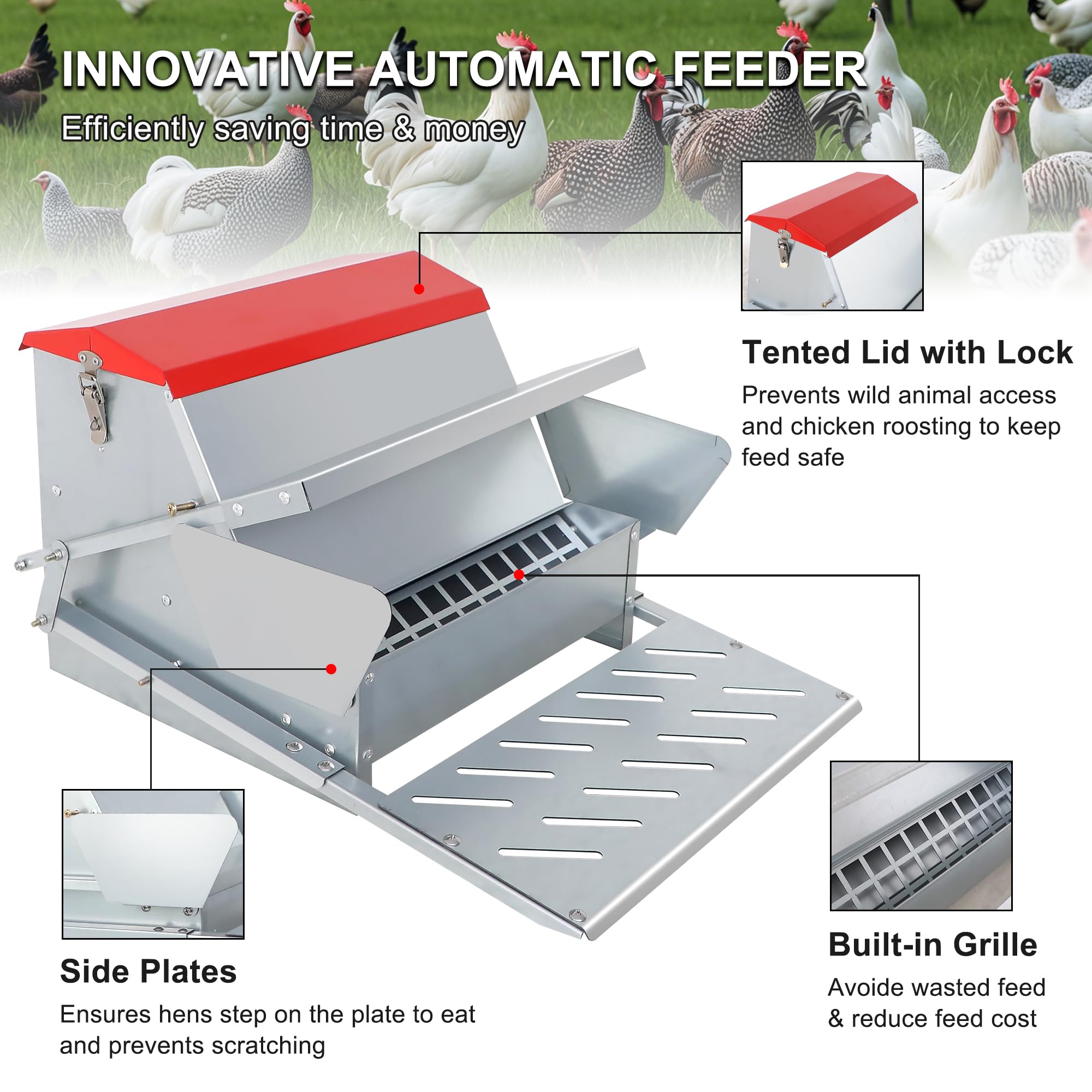 Kerty feeder in use with chickens demonstrating selective access and protection