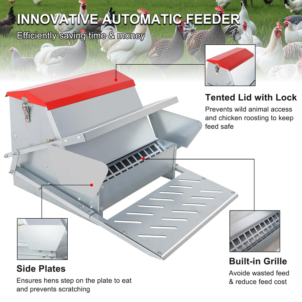 Kerty feeder in use with chickens demonstrating selective access and protection