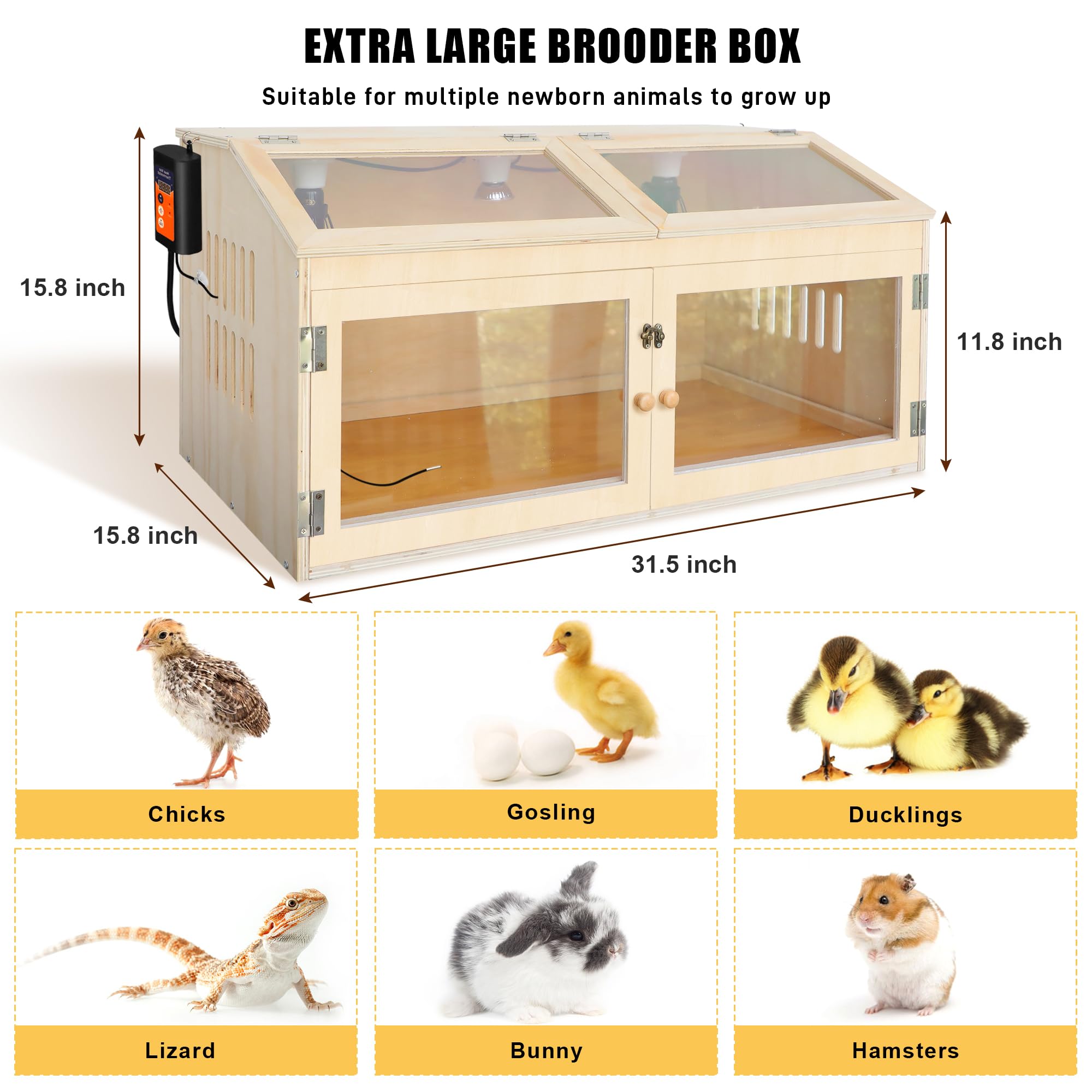Kerty interior with chicks showing spacious layout and comfortable heating