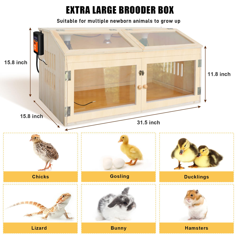 Kerty interior with chicks showing spacious layout and comfortable heating