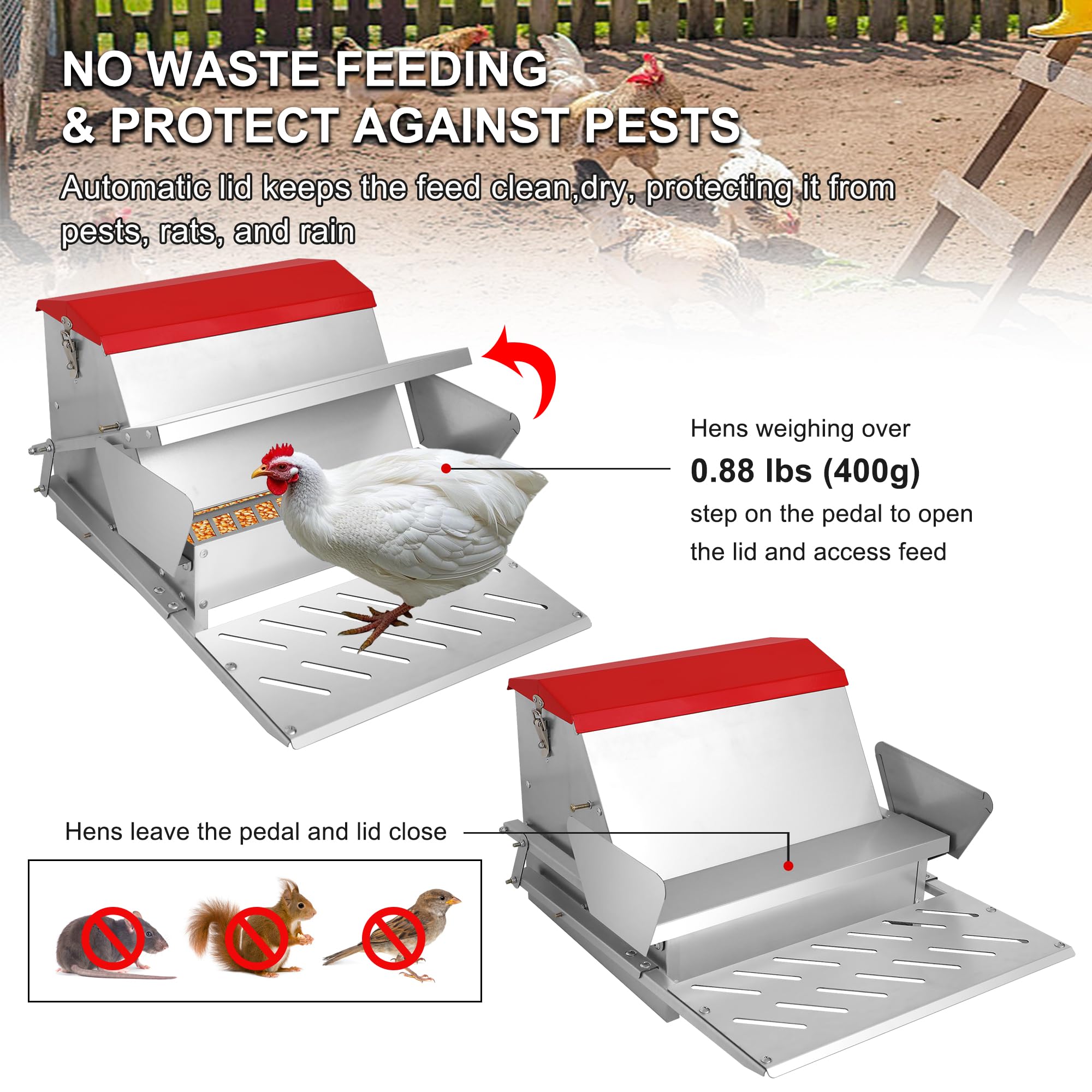 Kerty side plate guides positioning birds for cleaner, less wasteful feeding