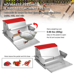 Kerty side plate guides positioning birds for cleaner, less wasteful feeding