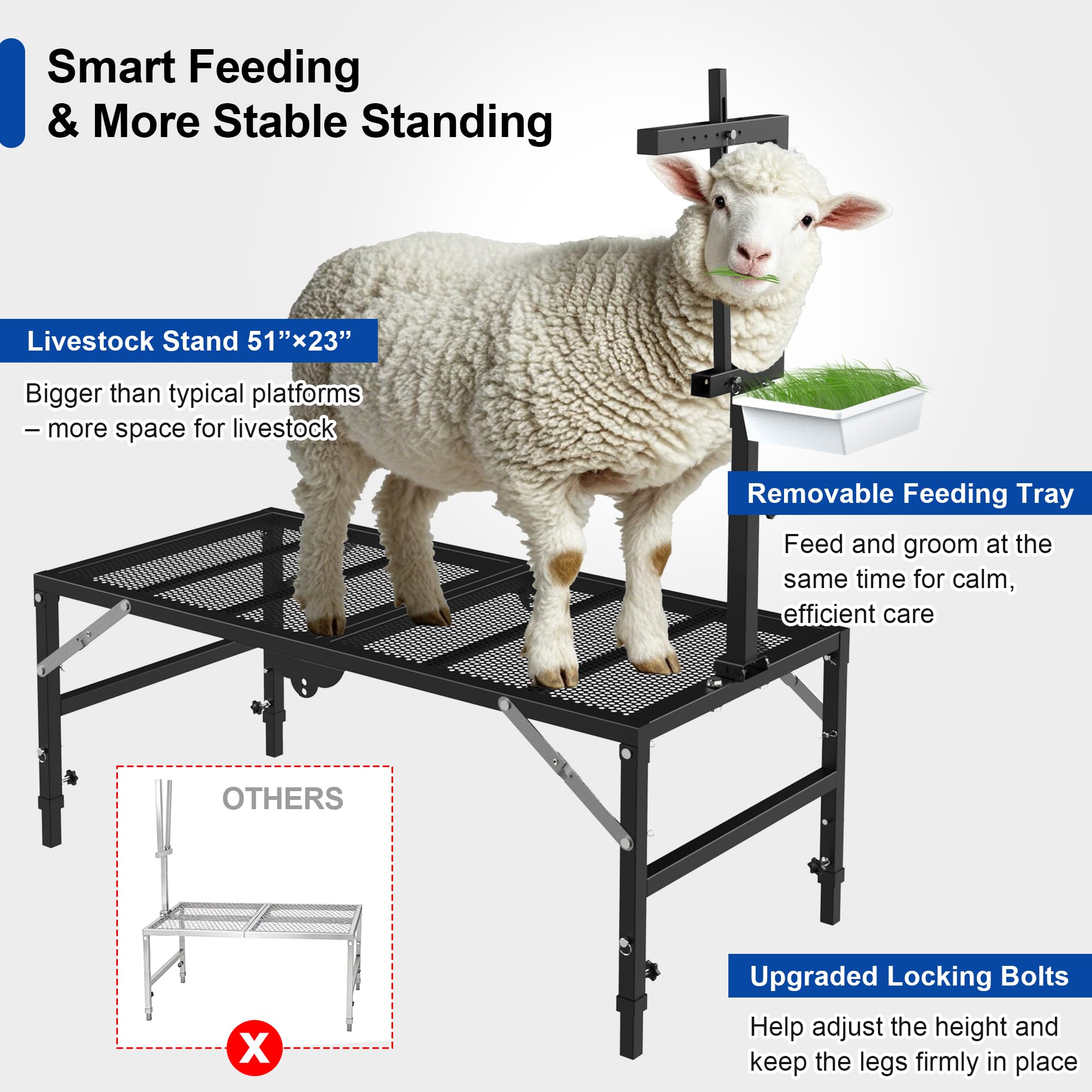 Kerty size comparison with toolbox illustrating 51x23 inch surface
