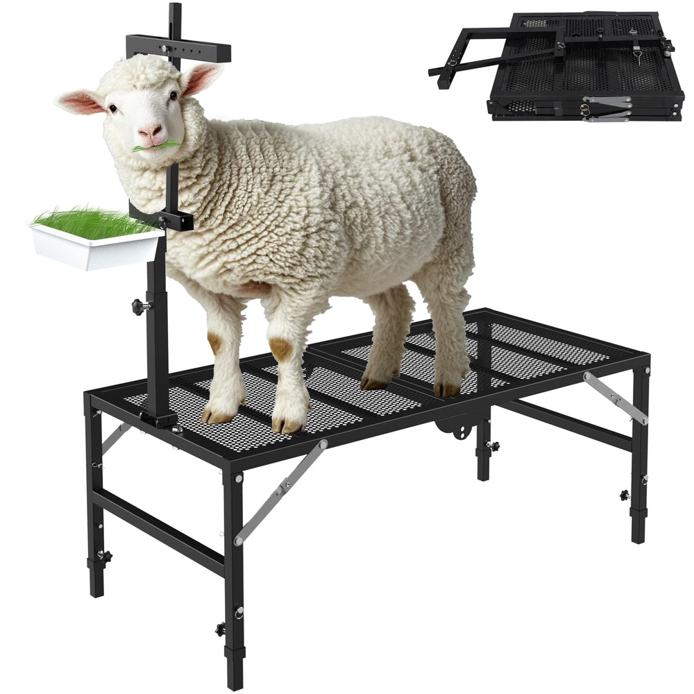 Kerty stand front view showing full tabletop and stable frame benefit