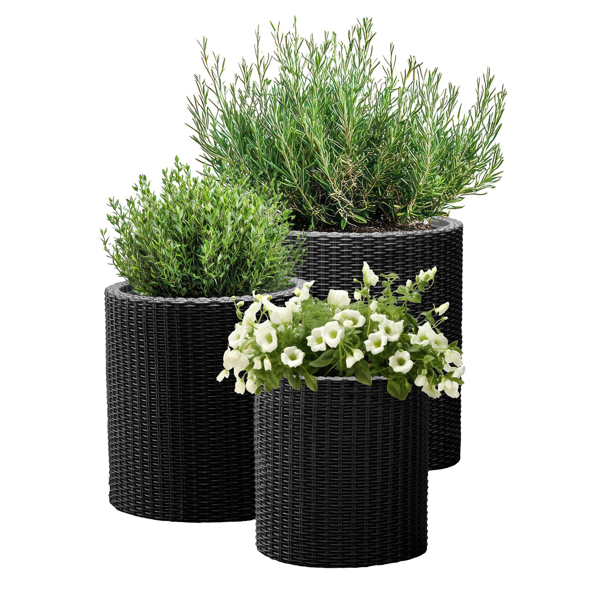 Keter cylinder front view showing sleek black rattan-look and clean silhouette