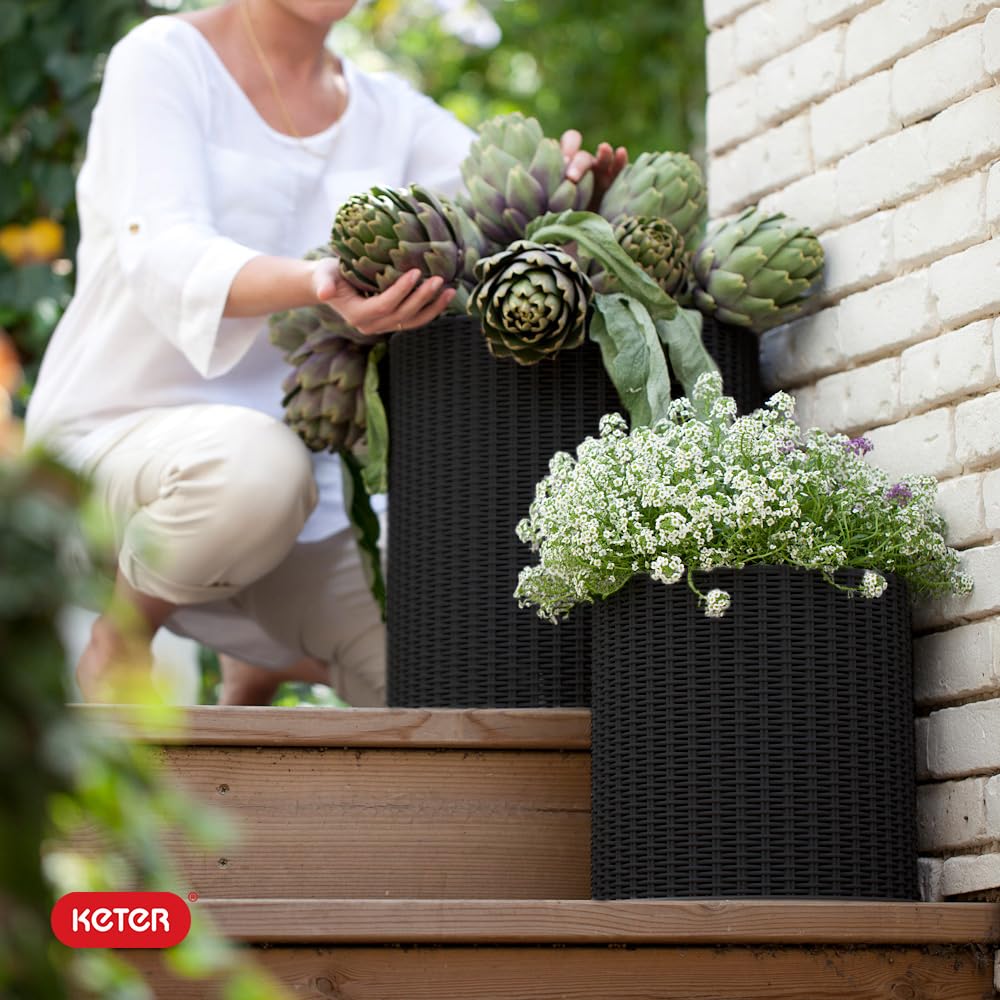 Keter planted example with lush foliage illustrating display and décor benefits