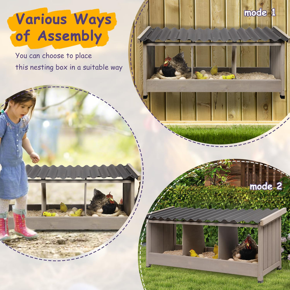 ketive installed in coop lifestyle shot showing tidy, organized egg-laying area