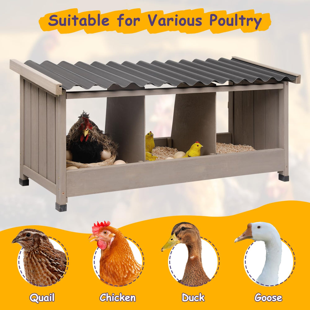 ketive interior compartments showing three nests and safer egg separation