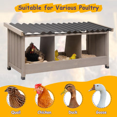 ketive interior compartments showing three nests and safer egg separation