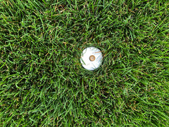 Keyfit Tools installed in lawn illustrating secure anchoring and discrete visibility benefit