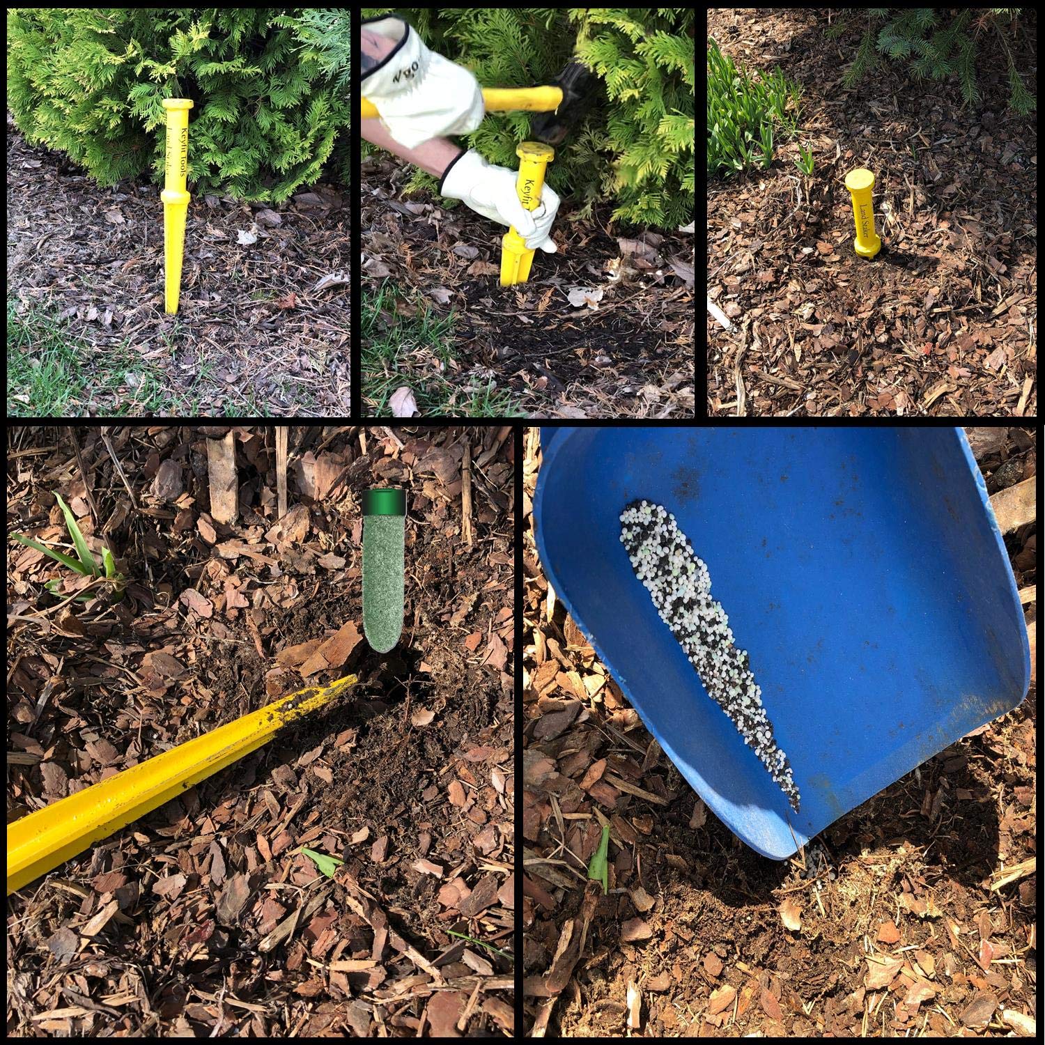 Keyfit Tools pilot hole with poured granular fertilizer demonstrating custom feeding to feeder roots