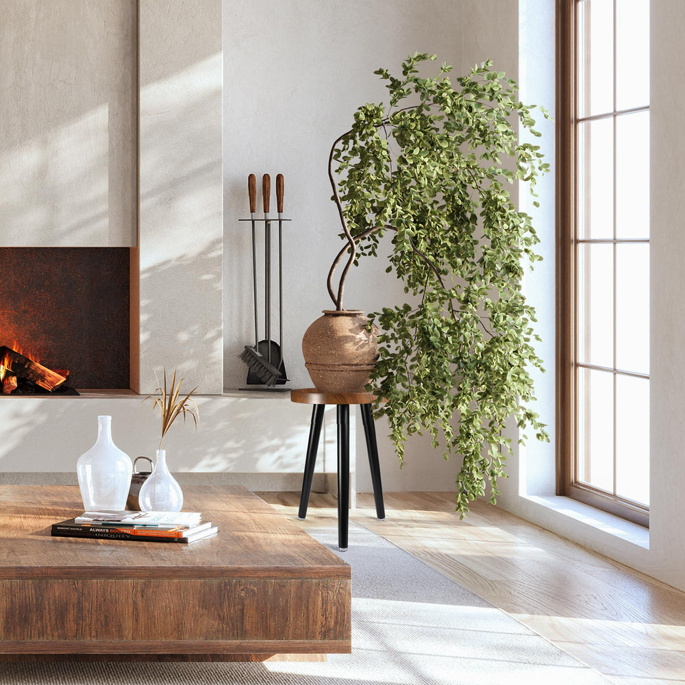 KGPLOME in a living room displaying plants and decor for aesthetic impact