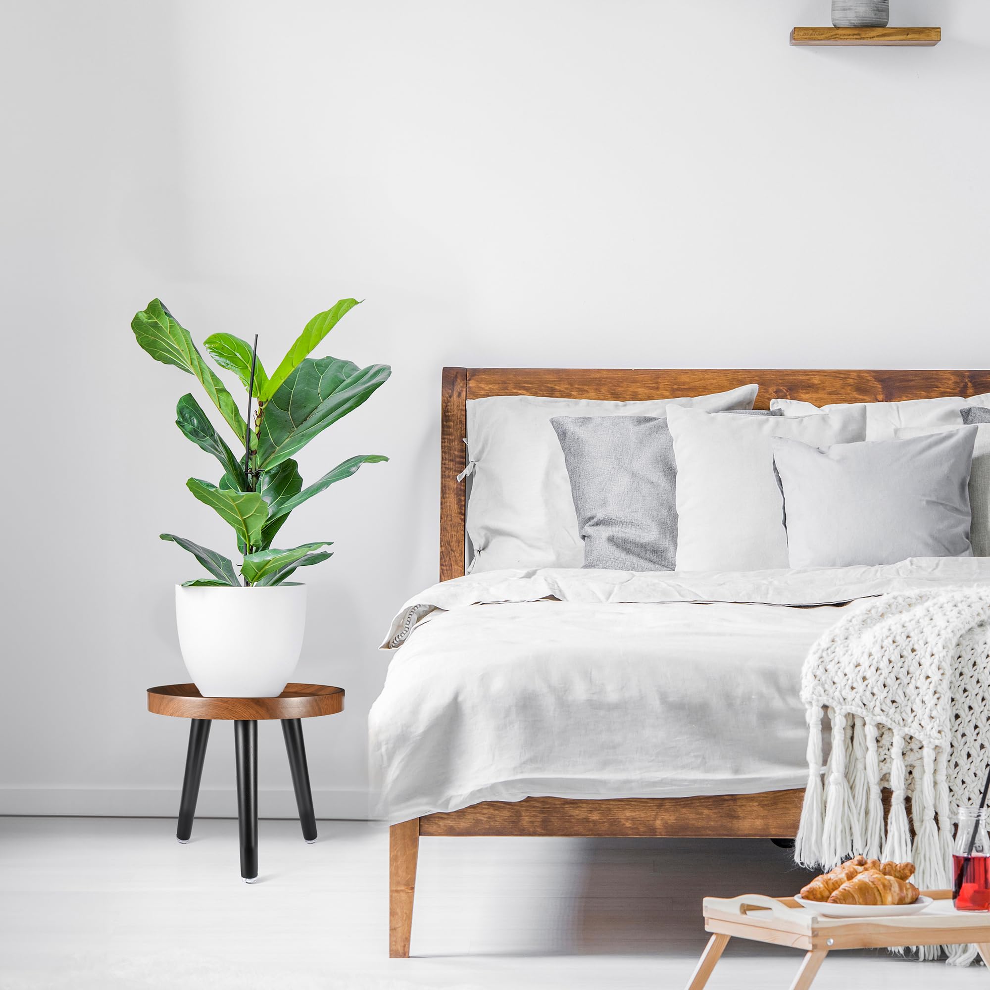 KGPLOME in a living room scene displaying decorative styling and warmth