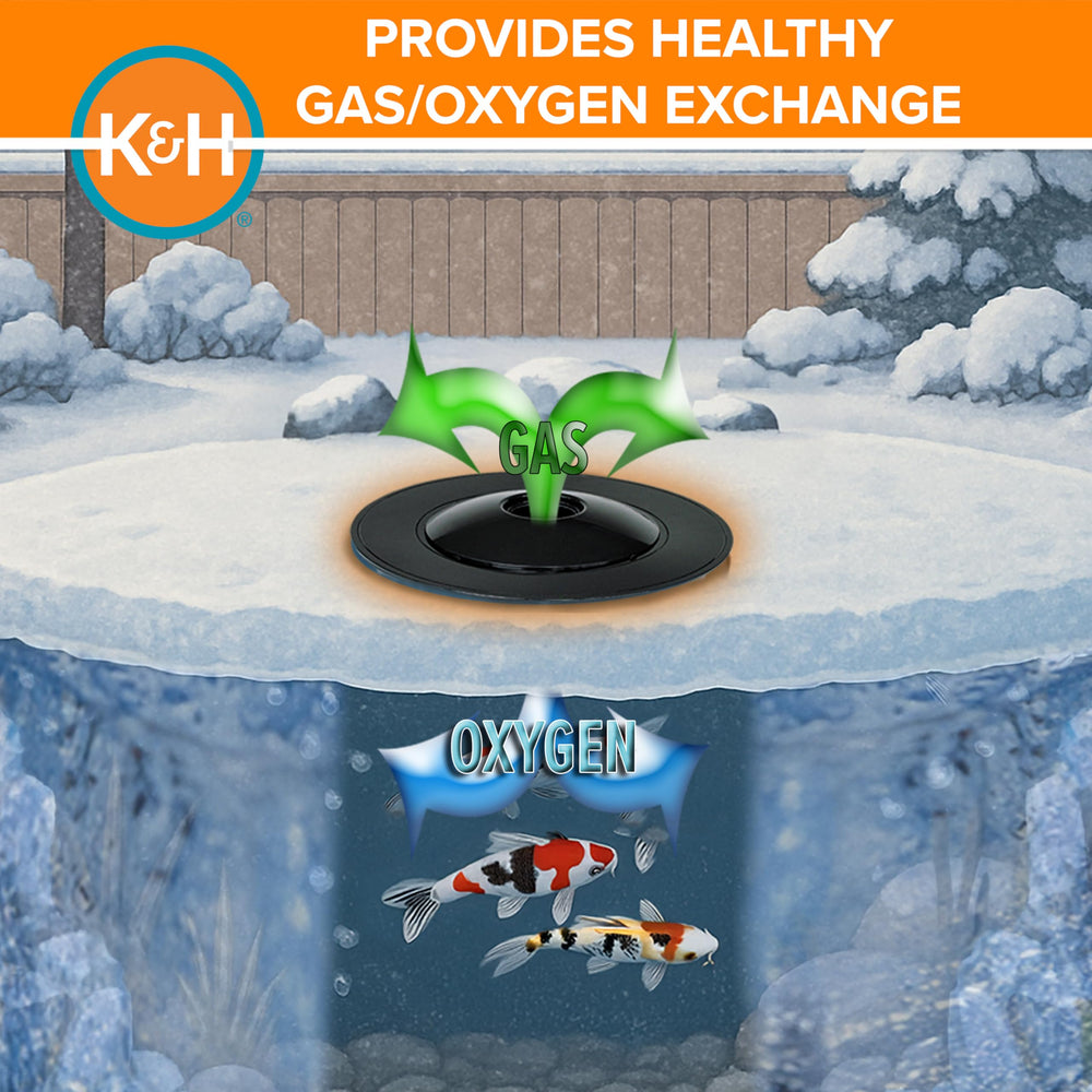 K&H Thermo-Pond close-up of power cord and plug showing outdoor safety use