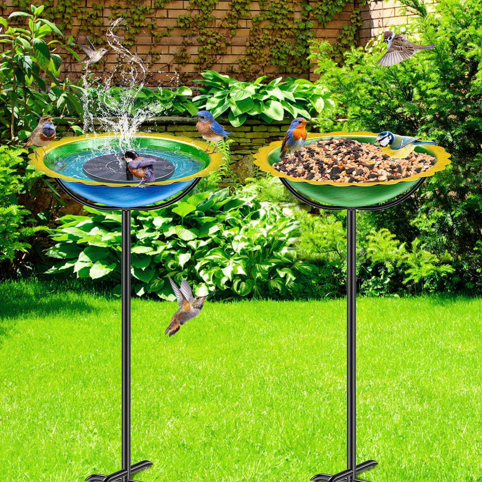 KHayRovies bowl filled with seeds showing multipurpose feeder and bird access