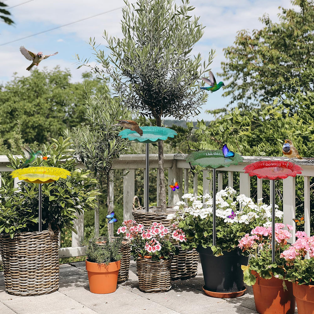 KHayRovies bird bath placed in lawn creating lively garden scene
