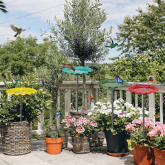 KHayRovies bird bath placed in lawn creating lively garden scene
