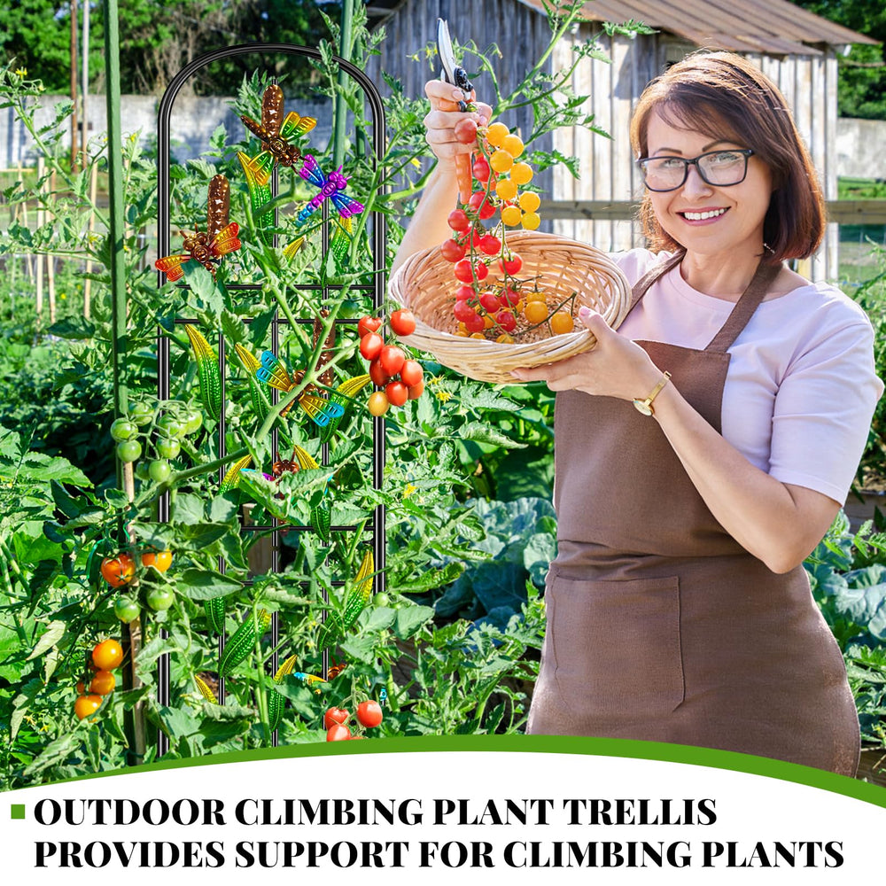 KHayRovies trellis in garden lifestyle scene, decoratively frames patio planting area