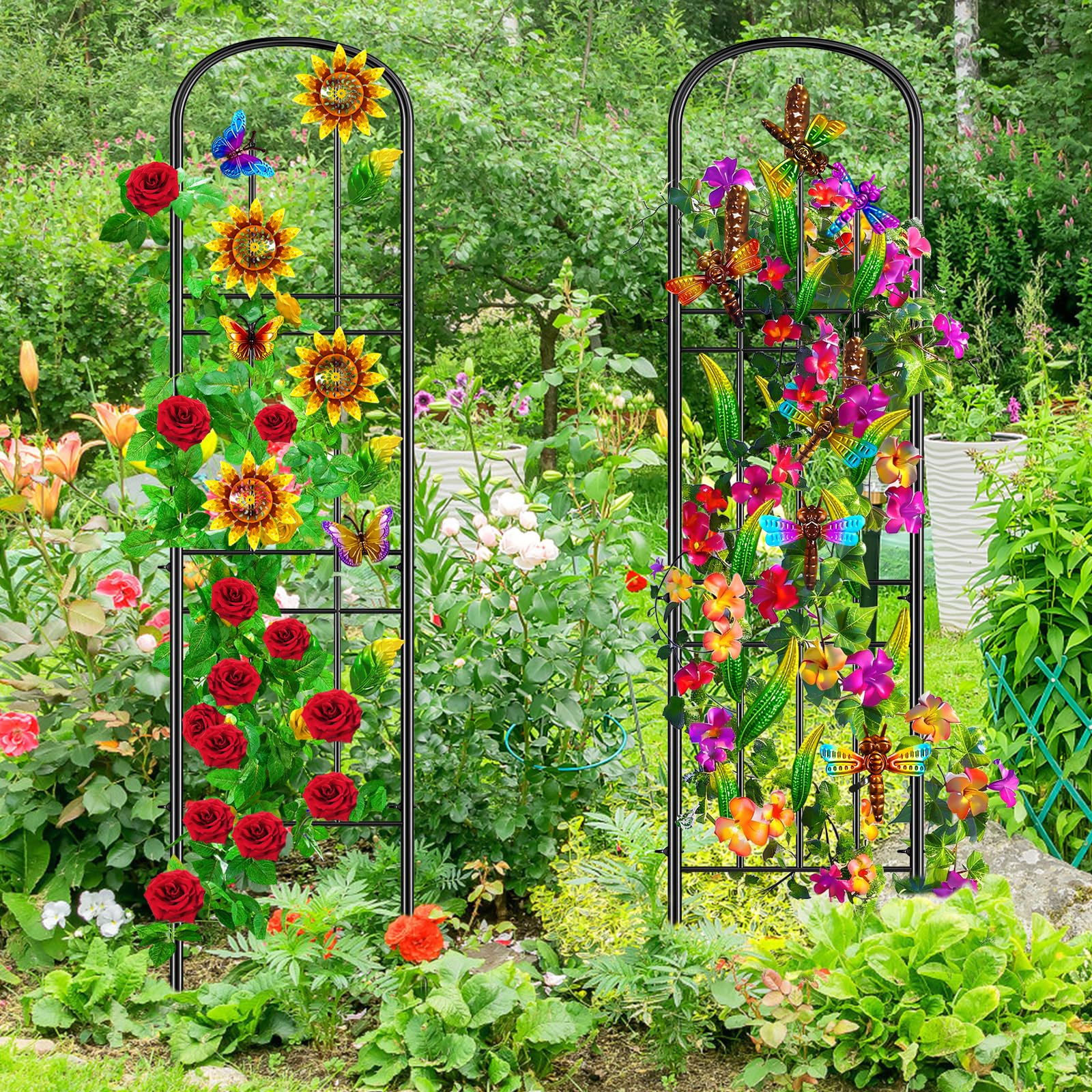 KHayRovies trellis next to ruler showing height scale, clarifies 60-inch dimension