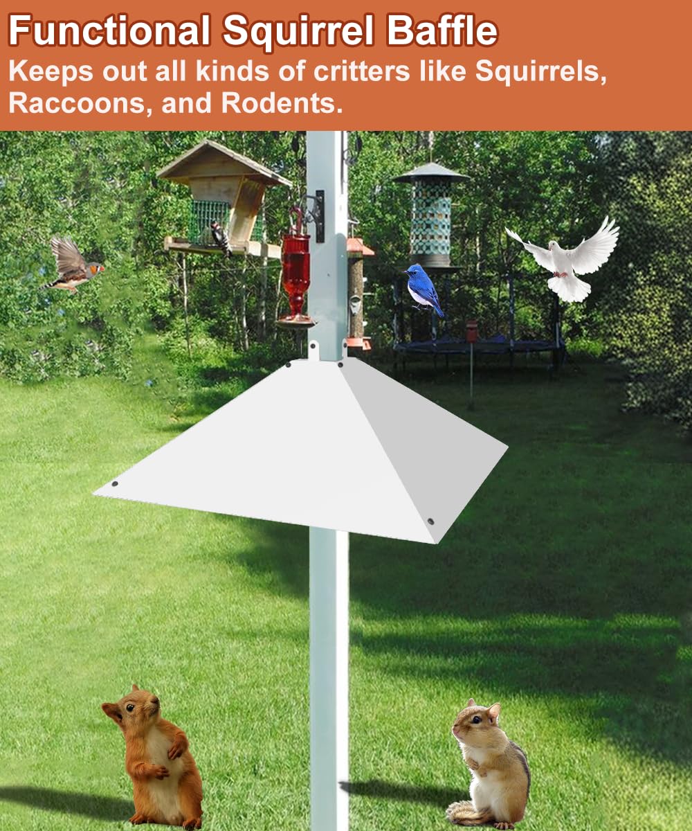 Khordin in backyard with bird feeder demonstrating protected feeding and peaceful viewing