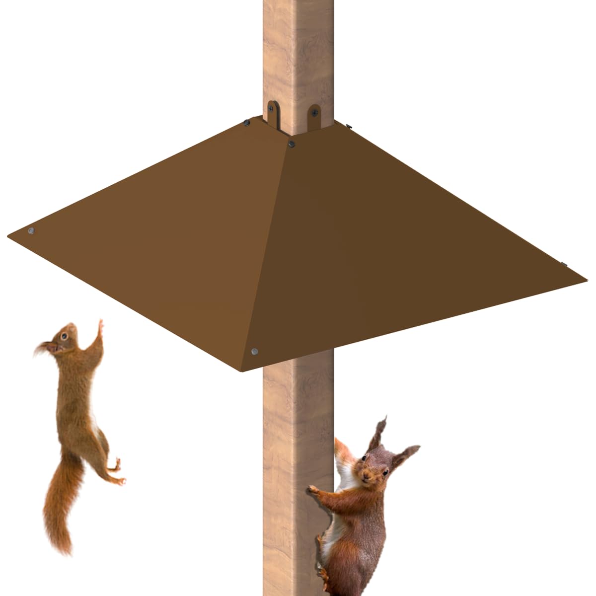 Khordin front view on post shows protection and deters squirrels effectively