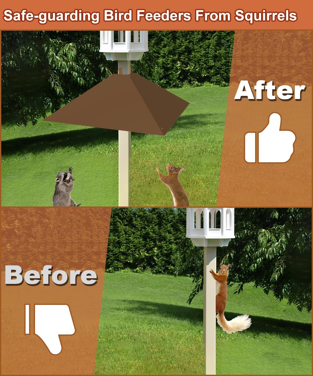 Khordin in backyard with bird feeder illustrates preserved seed for birds