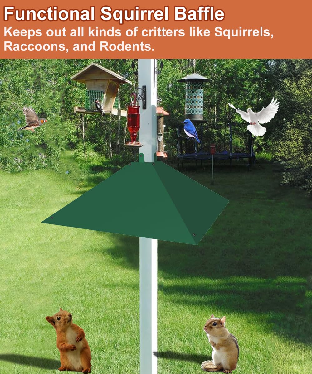 Khordin in backyard feeder setup showing bird protection and neat appearance