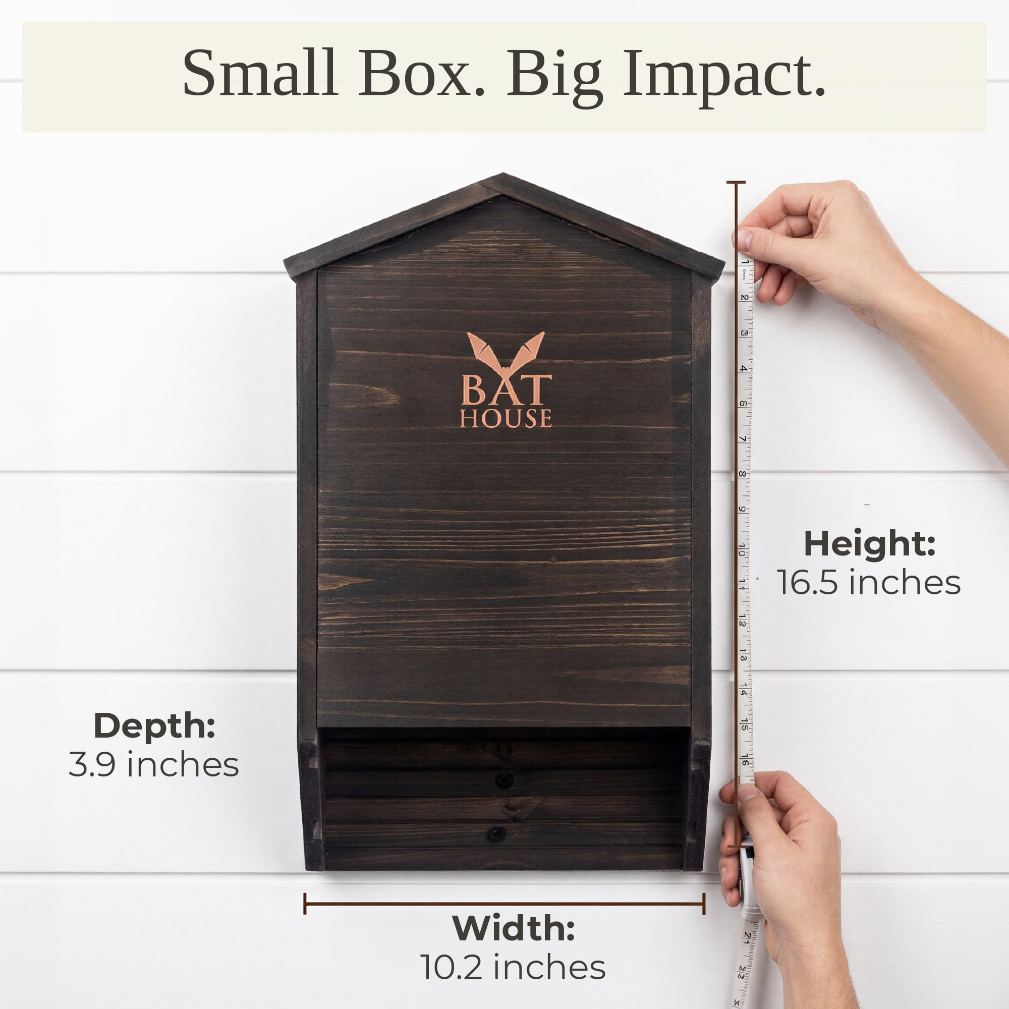 KIBAGA bat house next to ruler showing dimensions benefit: accurate size reference
