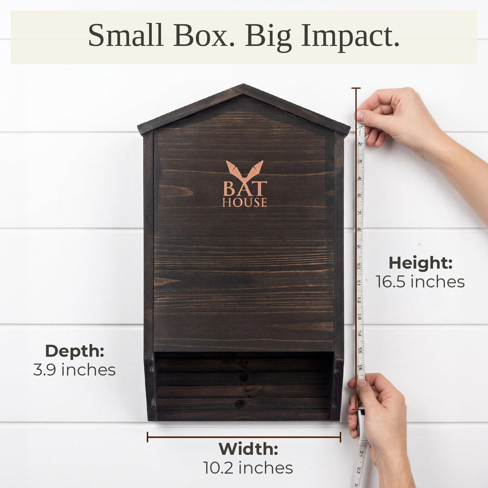 KIBAGA bat house next to ruler showing dimensions benefit: accurate size reference