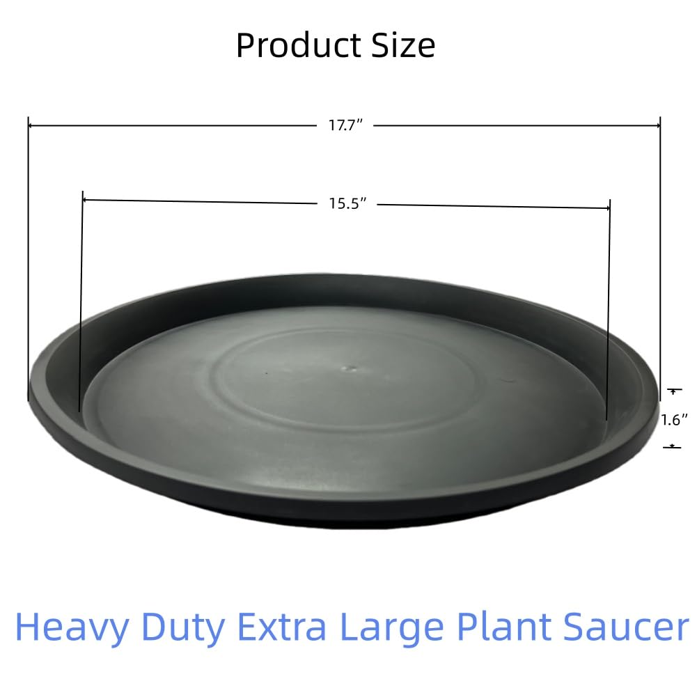 Kichwit side view showing 1.6 inch depth to catch overflow and prevent spills